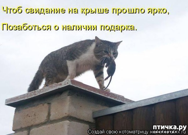 ���� 19: � ��� ���� ���������� �����������!