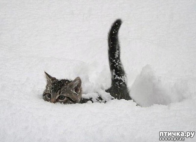 ���� 21: � ��� ���� ���������� �����������!