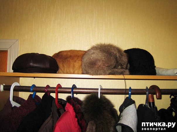 ���� 16: ����� ����: ������ ������-���������, ������� ���������� ����� �� ����