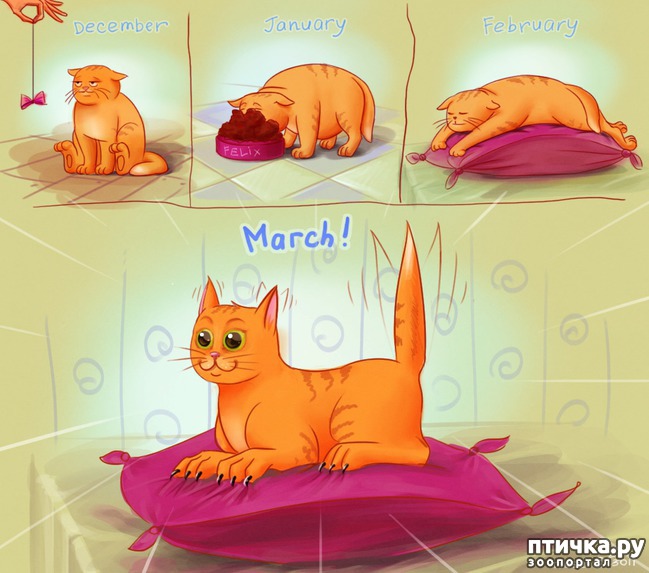 ���� 24: � ��� ���� ���������� �����������!