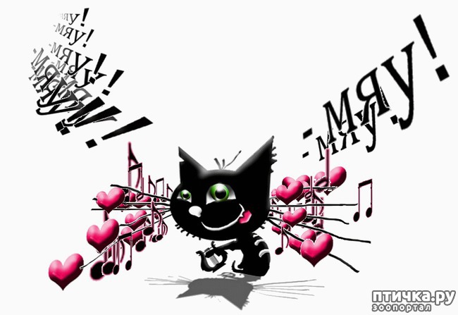 ���� 25: � ��� ���� ���������� �����������!