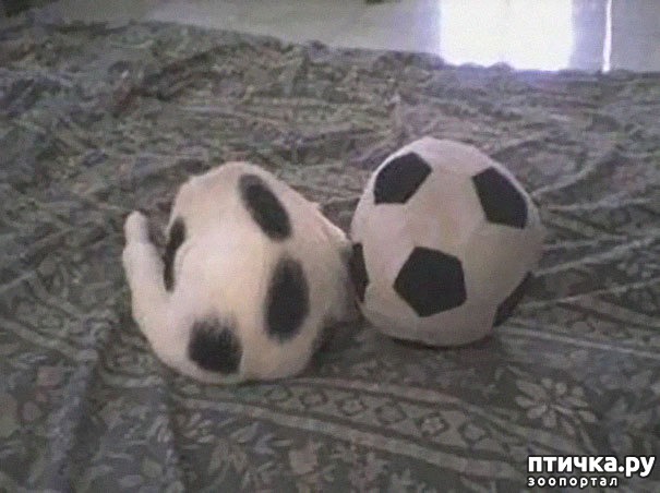 ���� 20: ����� ����: ������ ������-���������, ������� ���������� ����� �� ����