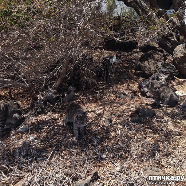 ���� 22: ����� ����: ������ ������-���������, ������� ���������� ����� �� ����