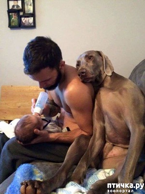 ����: �����