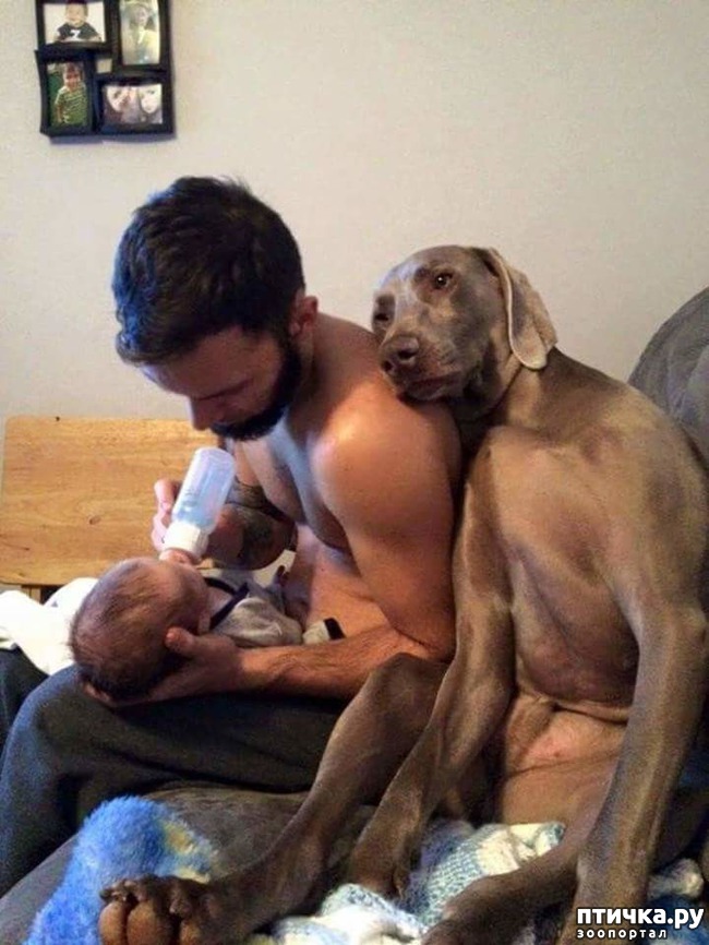 ���� 1: �����