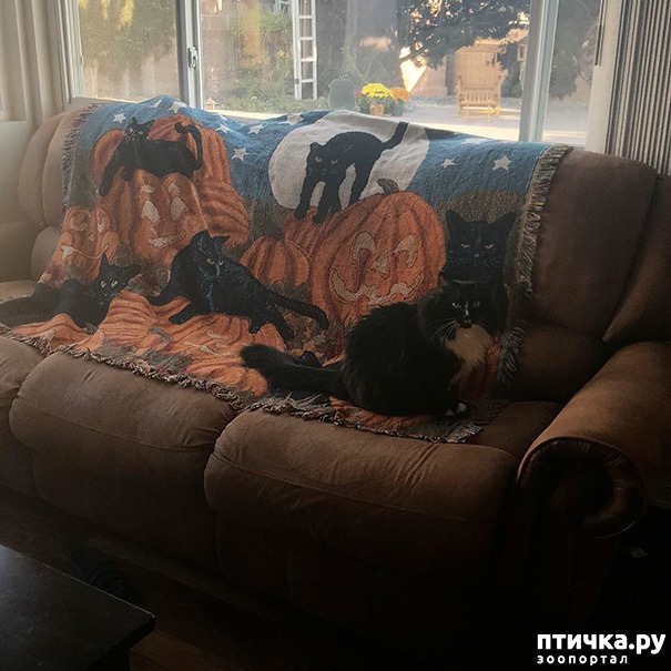 ���� 28: ����� ����: ������ ������-���������, ������� ���������� ����� �� ����