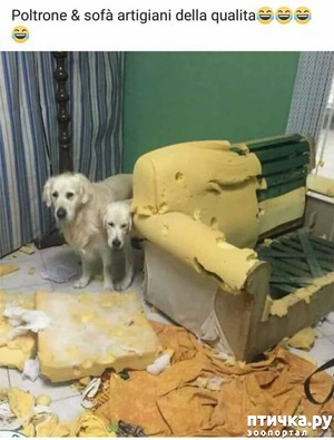 ����: �������