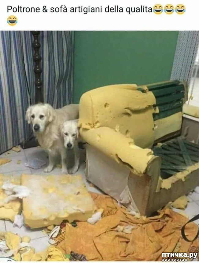 ���� 1: �������