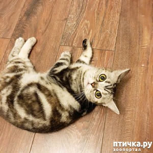 ����: ����� �� ������)))