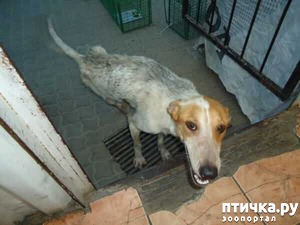 ����: ��������� ������� ����