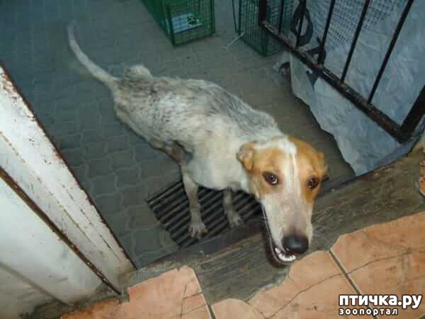 ���� 1: ��������� ������� ����