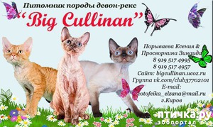 :  "Big Cullinan" -   -.