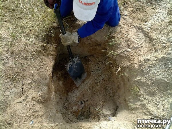 ���� 3: ��������� ������� ����