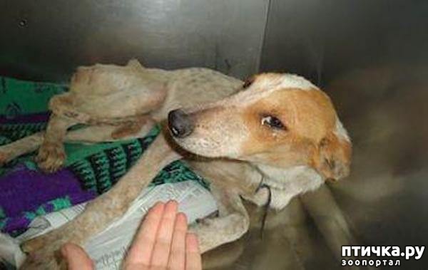 ���� 4: ��������� ������� ����