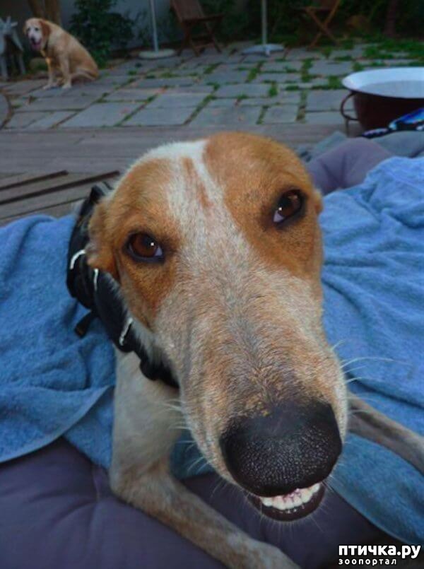 ���� 5: ��������� ������� ����