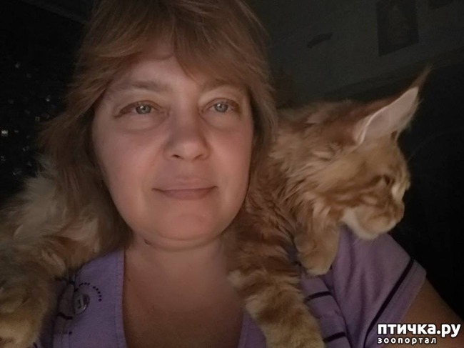 ���� 7: ����� ��� �������