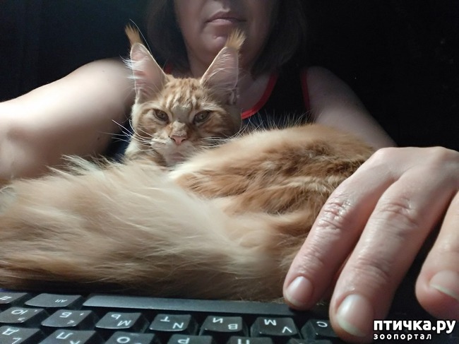 ���� 9: ����� ��� �������