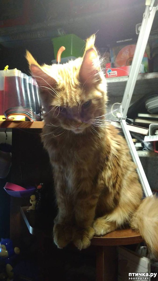 ���� 8: ����� ��� �������