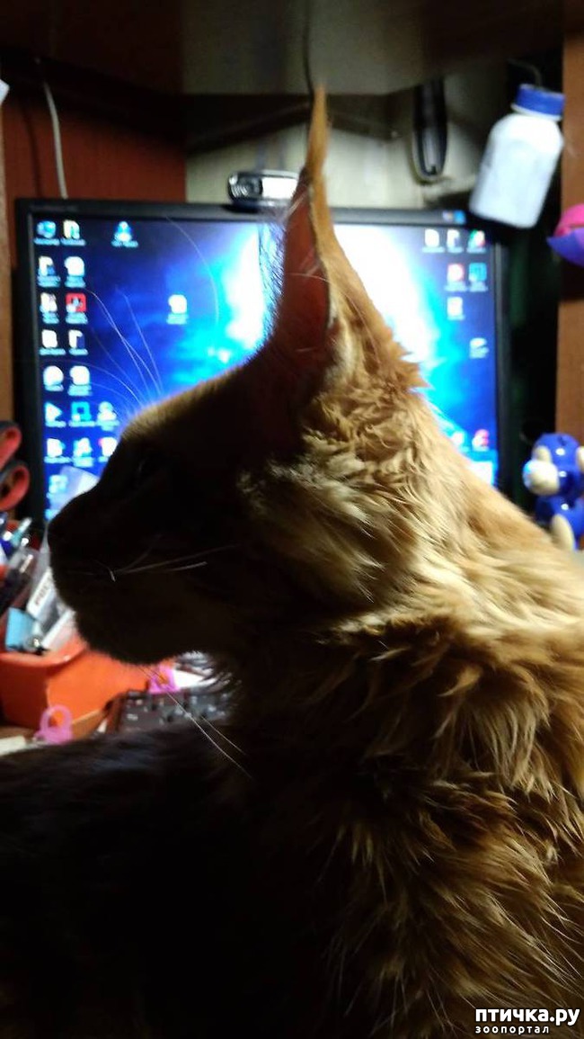 ���� 10: ����� ��� �������