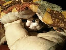 ���� 1: ����� ����� �������� ��� ������?