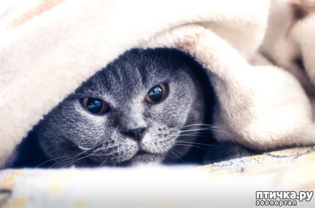 ���� 2: ����� ����� �������� ��� ������?