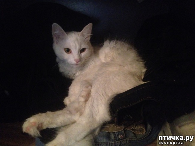 ���� 3: ����� ����� �������� ��� ������?