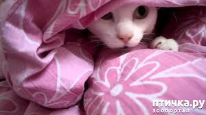 ���� 4: ����� ����� �������� ��� ������?