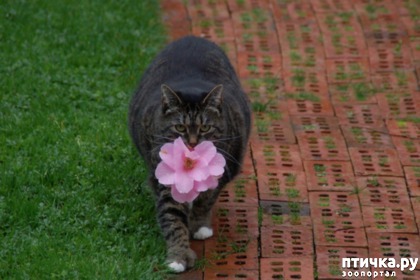 ���� 2: ������� ����� ��������� ������ �������� �������, ��� � ������������