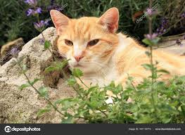 ���� 6: ������� ����