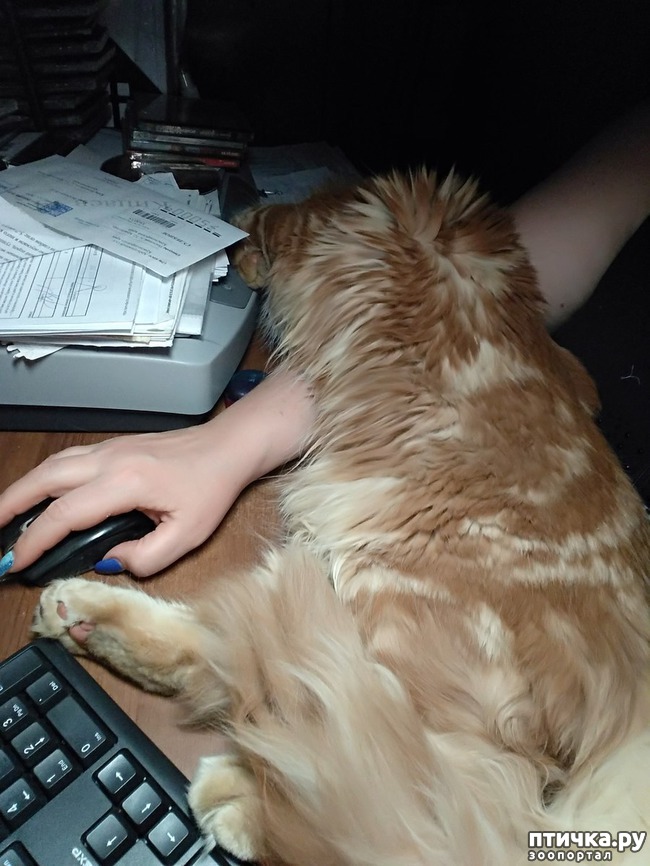 ���� 12: ����� ��� �������