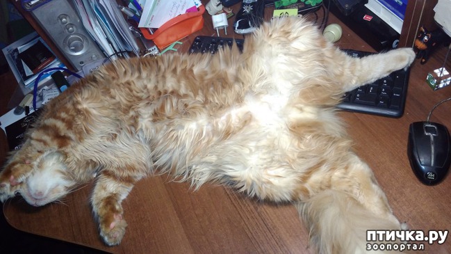 ���� 13: ����� ��� �������