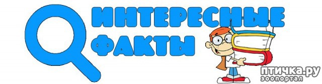 ���� 1: ������� ����� ��������� ������ �������� �������, ��� � ������������