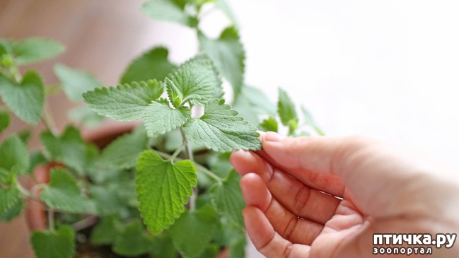 ���� 2: ������� ����