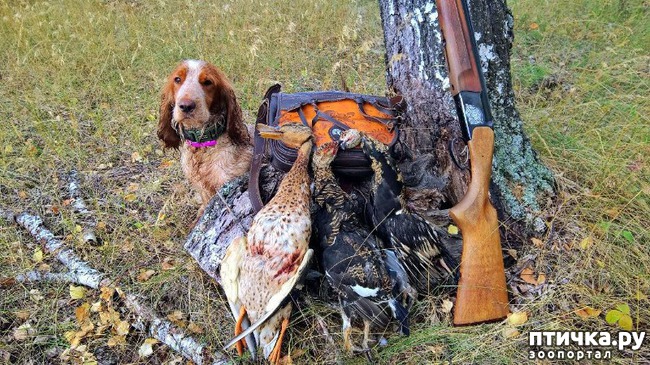 ���� 2: ��� �� ������� �� �����?