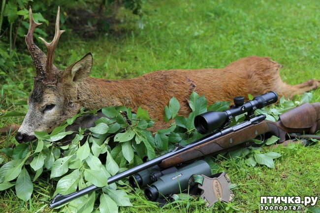 ���� 3: ��� �� ������� �� �����?