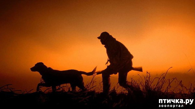 ���� 4: ��� �� ������� �� �����?