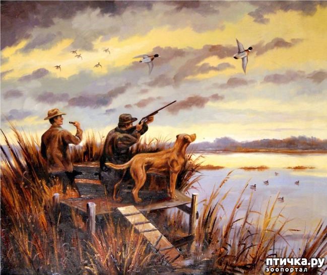 ���� 5: ��� �� ������� �� �����?