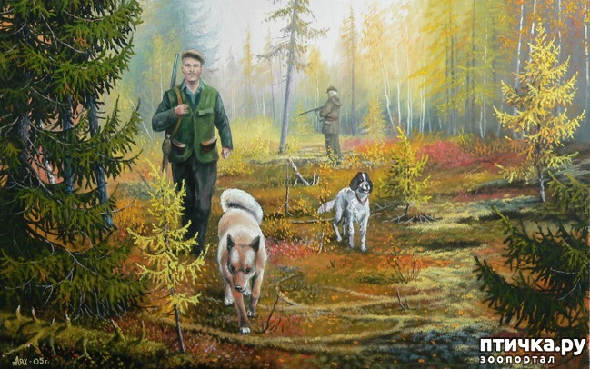 ���� 7: ��� �� ������� �� �����?