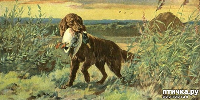 ���� 8: ��� �� ������� �� �����?