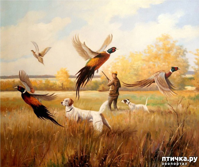 ���� 9: ��� �� ������� �� �����?