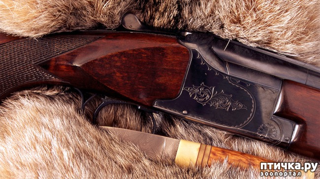 ���� 10: ��� �� ������� �� �����?