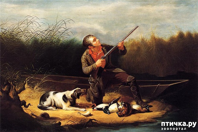 ���� 11: ��� �� ������� �� �����?