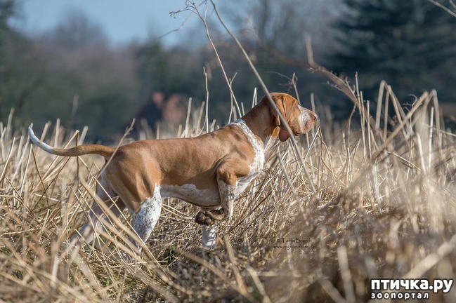 ���� 12: ��� �� ������� �� �����?