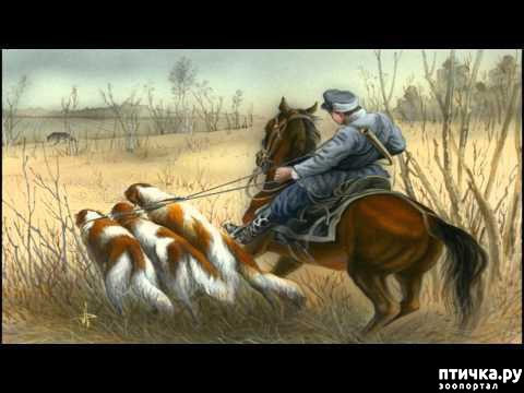 ���� 13: ��� �� ������� �� �����?