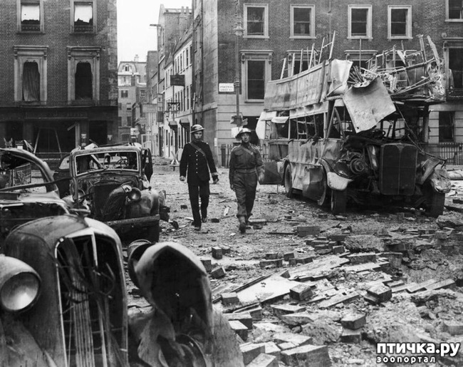 ���� 2: ����������� �����.