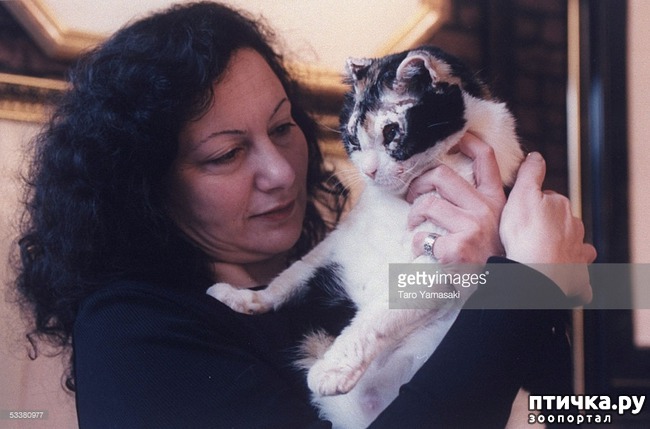 ���� 5: ����������� �����.