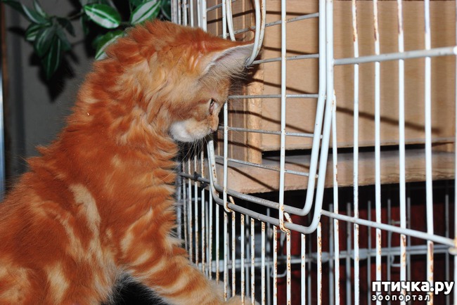 ���� 1: ����� ��� �������