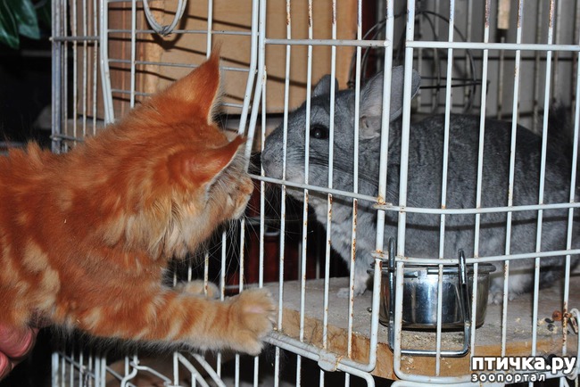 ���� 2: ����� ��� �������