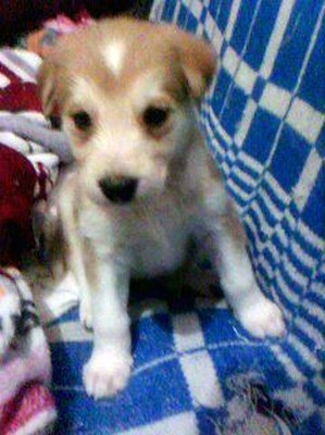 ����: ��� ������� �� ���������� ������)