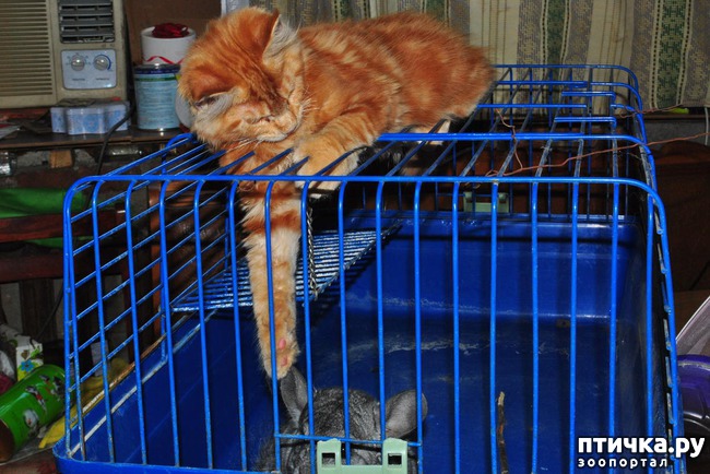 ���� 3: ����� ��� �������